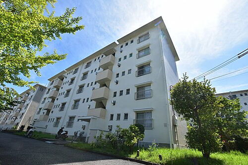 大阪府大阪狭山市西山台５丁目 5階建 築54年