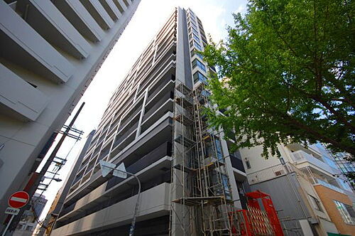 大阪府大阪市西区南堀江２丁目 15階建 築8年2ヶ月