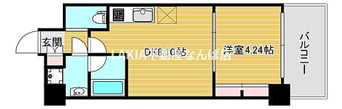 大阪府大阪市浪速区恵美須西１丁目 賃貸マンション