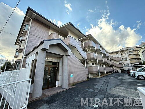 大阪府羽曳野市高鷲１丁目 賃貸マンション