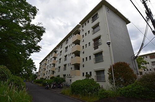 大阪府大阪狭山市西山台５丁目 5階建 築54年