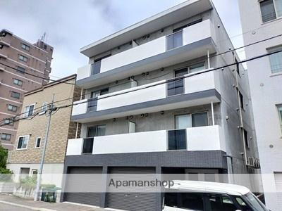 北海道札幌市豊平区平岸三条１０丁目 4階建 築5年
