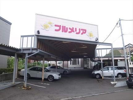 プルメリア