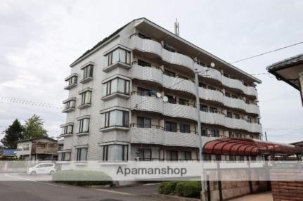 スカイコート 5階建