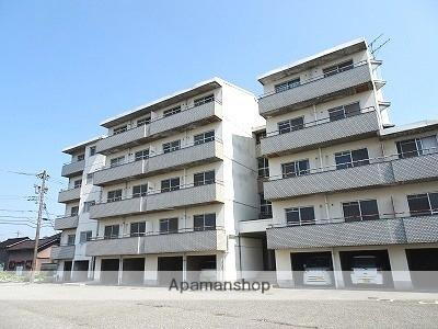 グランスイート藤木