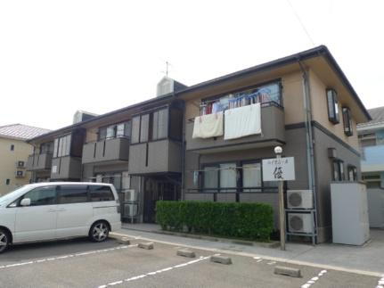 ハイカムール優