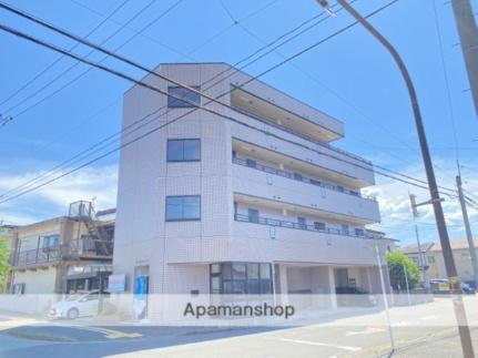 パレス照手ハイツ 4階建