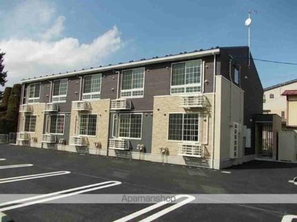 チェスタフモト