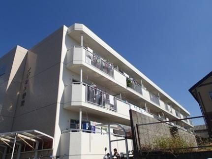 レジオン　香流