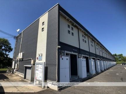 レオネクストフェリチタ　美崎