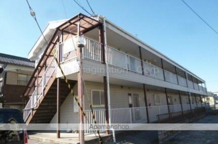 サープラスＩＩ　ＴＳＵＴＳＵＭＩ