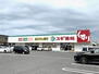 フェリオ　ヴィエント スギドラッグ　能登川店(ドラックストア)まで181m