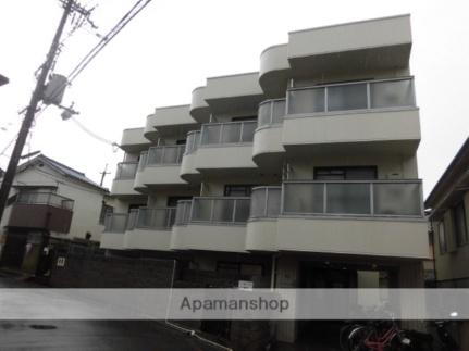 アンフィニィ・真上