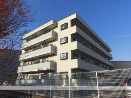 カサド・エムズ