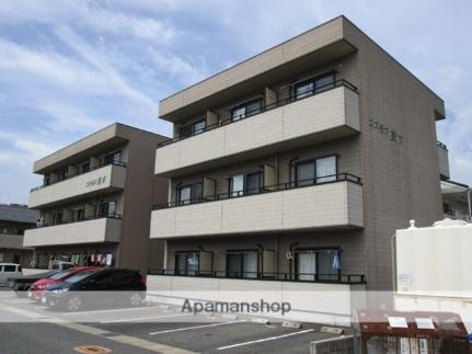 鳥取県鳥取市桂木 賃貸マンション