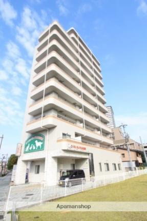 岡山県岡山市北区国体町 11階建