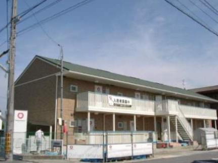 Ｃｏｒａｌ　Ｒｅｅｆ　Ｋ