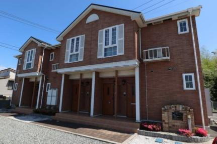 シーサイド・パレス　シンシア