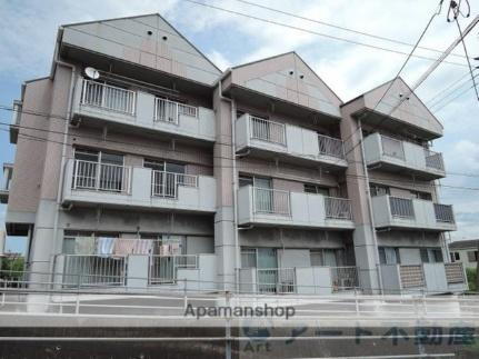 愛媛県松山市南江戸５丁目 3階建