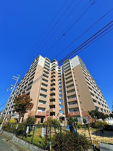 大阪府貝塚市海塚１丁目 築28年4ヶ月 13階建
