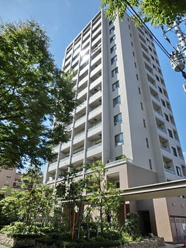 新潟県新潟市中央区西大畑町 14階建 築15年6ヶ月
