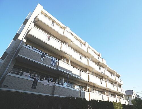 千葉県市川市本塩 5階建 築17年4ヶ月