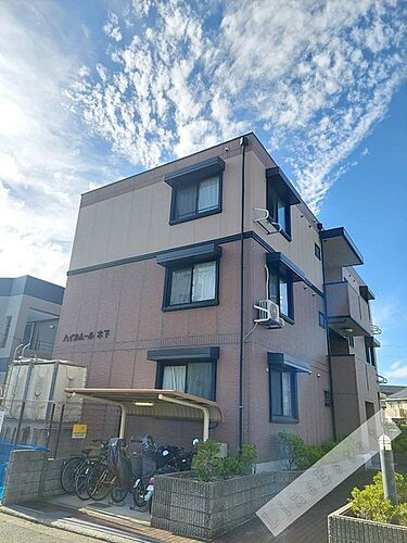 ハイカムール木下