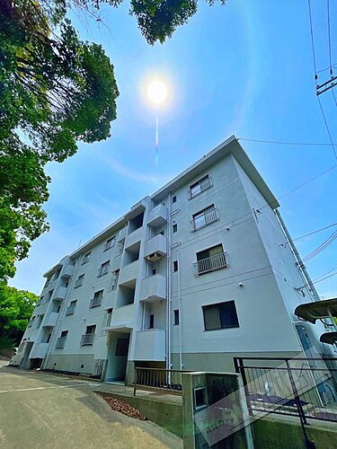 和歌山県和歌山市鳴神 4階建 築53年9ヶ月