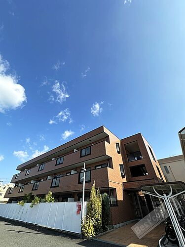 ゾーナ　ブローテ