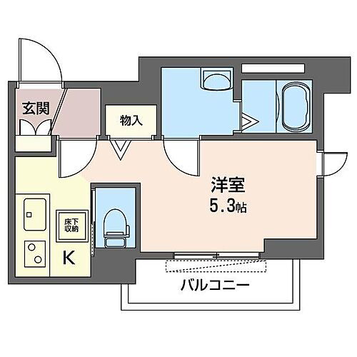ブエナビスタ　パルケ 1階 ワンルーム 賃貸物件詳細