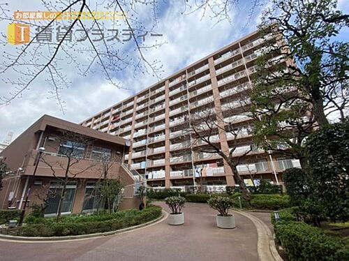 千葉県市川市市川南３丁目 10階建 築45年10ヶ月