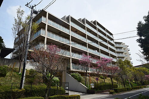 東京都多摩市落合２丁目 7階建 築20年9ヶ月