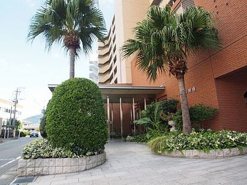 フェニックス福岡南