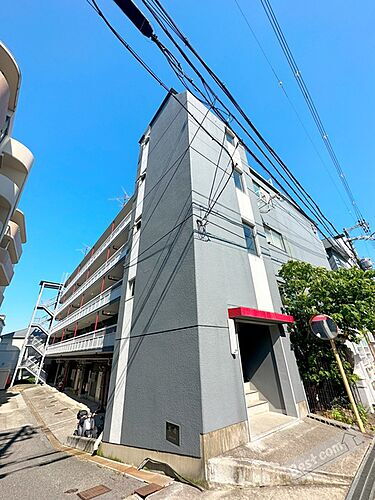 大阪府堺市東区西野 賃貸マンション