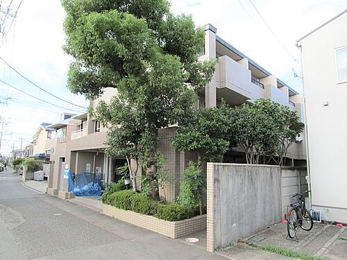 神奈川県相模原市南区相模台２丁目 3階建 築37年8ヶ月