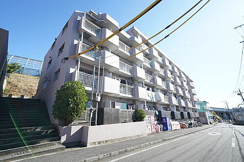 田園ドミール 6階建