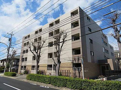 東京都八王子市越野 5階建