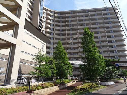 新潟県新潟市中央区三和町 14階建 築19年7ヶ月