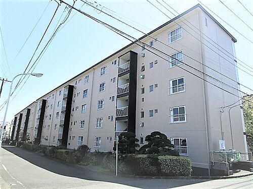 神奈川県相模原市南区鵜野森２丁目 5階建 築58年5ヶ月