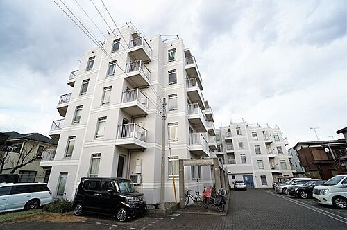 神奈川県川崎市多摩区中野島５丁目 5階建 築30年4ヶ月