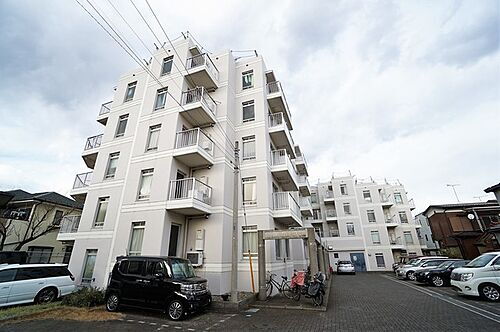 神奈川県川崎市多摩区中野島５丁目 賃貸マンション