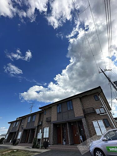 ジョリ−パ−トナ−