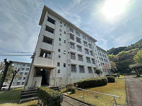 大阪府三島郡島本町若山台２丁目 築48年9ヶ月 5階建