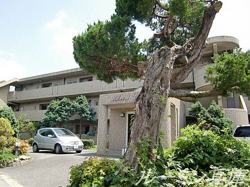 アルベールコート