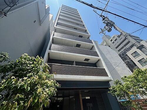 ＧＲＡＣＥ　ＮＯＲＴＨ　ＮＩＳＨＩＴＥＮＭＡ