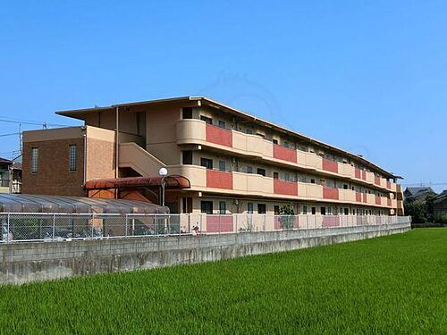 京都府京都市西京区樫原佃 築45年8ヶ月 3階建