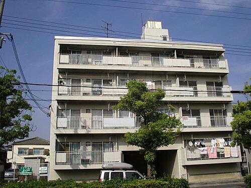 パインリーフ甲子園