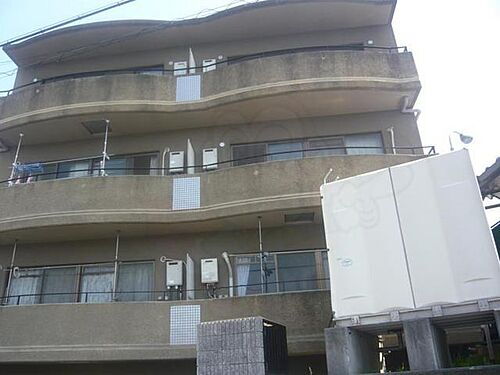 ステム中百舌鳥