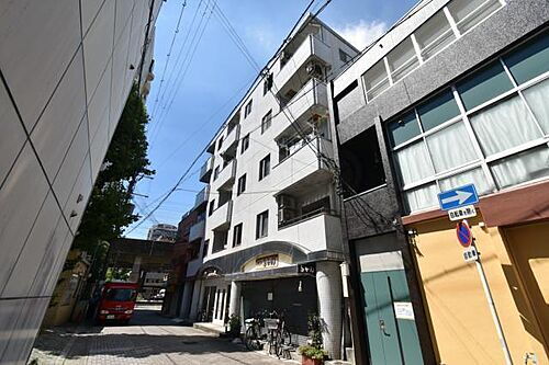 グレースサカイ