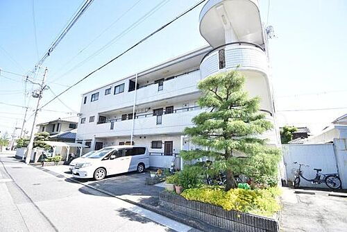 ヒルコートイズミ